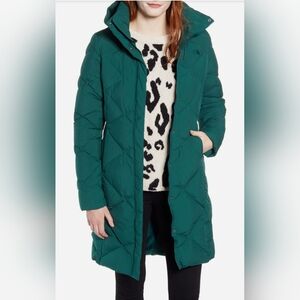 The North Face Miss Metro II Hooded Water Resistant Down Parka Botanical Green